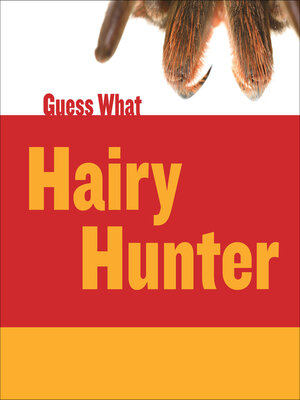 cover image of Hairy Hunter: Tarantula